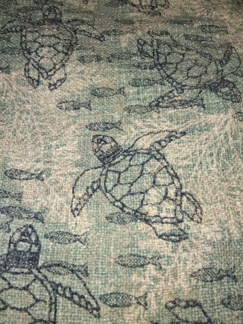 Coastal Collections 21